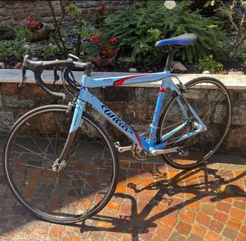 Wilier Triestina Shimano 105 2004 Road & Gravel d'occasion — image 3 sur 3