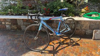 Wilier Triestina Shimano 105 2004 Route & Gravel d'occasion