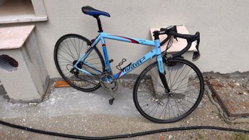 Used Wilier Triestina Shimano 105 2004 Road & Gravel, Blue — image 7 of 7