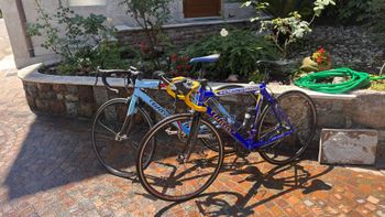Wilier Custom Shimano 105 2010 Road & Gravel d'occasion — image 3 sur 3