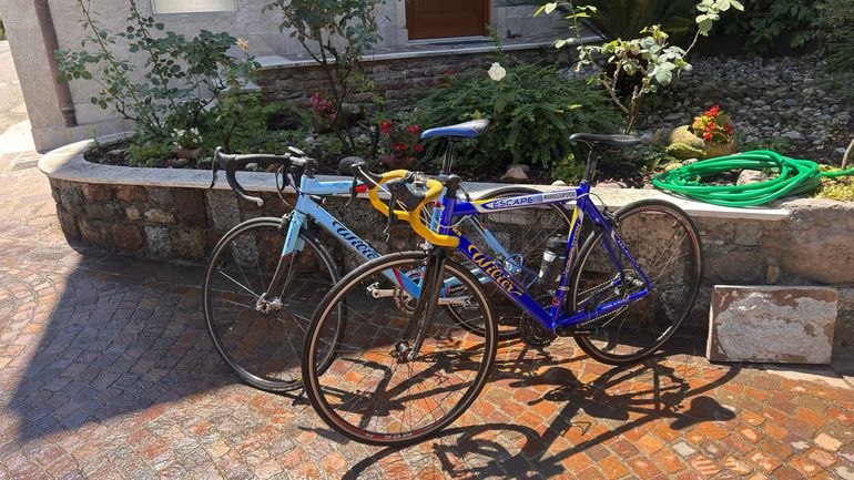 Wilier Custom Shimano 105 2010 Road & Gravel d'occasion — image 3 sur 3