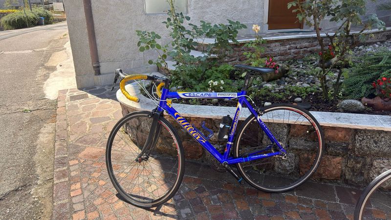 Used Wilier Custom Shimano 105 2010 Road & Gravel