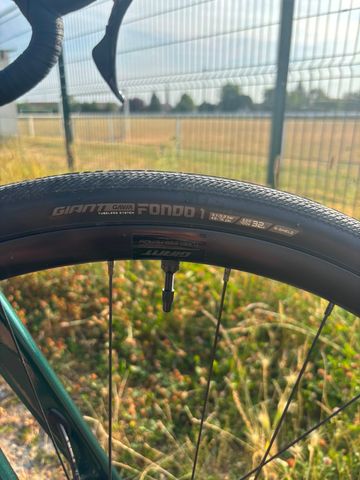Brugt Giant Avail 2 - 2024 2024 Road & Gravel — billede 11 af 19