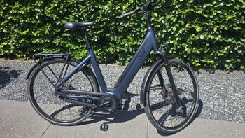QWIC Custom Shimano Nexus Hub Gear 2024 Urbain & Touring d'occasion