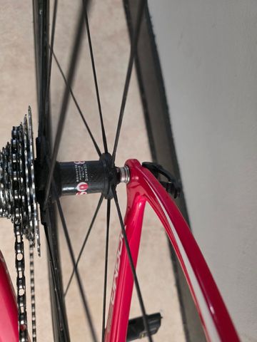 Brugt Pinarello Dogma Campagnolo Record 2017 Road & Gravel — billede 6 af 7