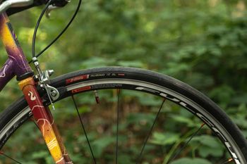 Fulvia Bikes Flatworm 1996 Road & Gravel d'occasion — image 2 sur 10