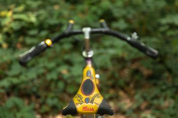 Fulvia Bikes Flatworm 1996 Road & Gravel d'occasion — image 5 sur 10