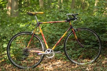 Fulvia Bikes Flatworm 1996 Route & Gravel d'occasion