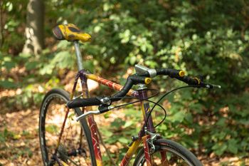 Fulvia Bikes Flatworm 1996 Road & Gravel d'occasion — image 4 sur 10