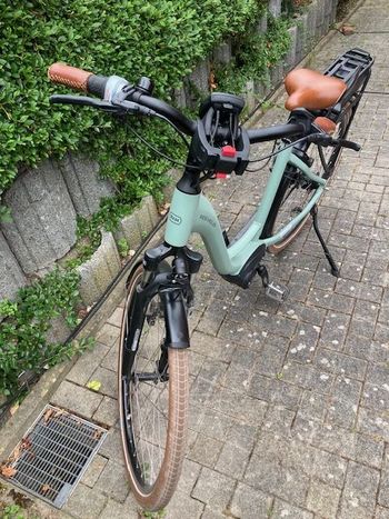 Gebrauchtes Riese & Müller Swing3 Urban 2021 Urban & Touring