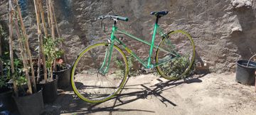 Used Orbea Custom Other 1981 Road & Gravel, Green — image 3 of 3