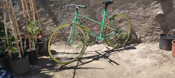 Used Orbea Custom Other 1981 Road & Gravel