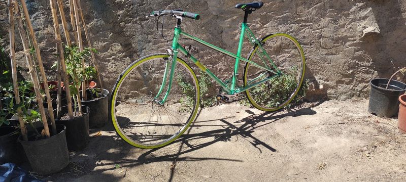 Used Orbea Custom Other 1981 Road & Gravel