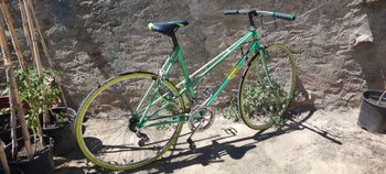 Orbea Custom Other 1981 Road & Gravel usato, Verde — immagine 2 di 3