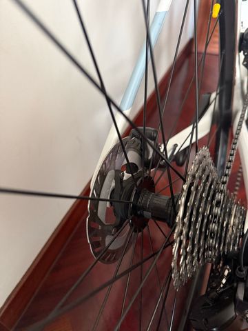 Used Megamo PULSE 05 2025 2025 Road & Gravel, White — image 7 of 15