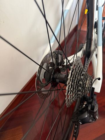 Used Megamo PULSE 05 2025 2025 Road & Gravel, White — image 8 of 15