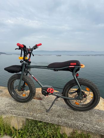 Gebrauchtes Ruff Cycles Custom 2023 Urban & Touring