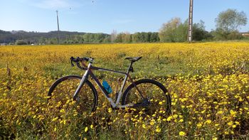 Brugt Specialized CruX Comp Disc Apex 2012 2012 Road & Gravel — billede 5 af 10