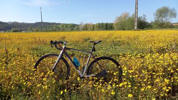 Tweedehands Specialized CruX Comp Disc Apex 2012 2012 Road & Gravel — afbeelding 5 van 10