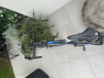 Pinarello Custom Campagnolo Record 2010 Road & Gravel usato, Blu — immagine 2 di 8
