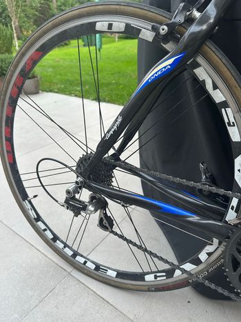 Pinarello Custom Campagnolo Record 2010 Road & Gravel usato, Blu — immagine 5 di 8