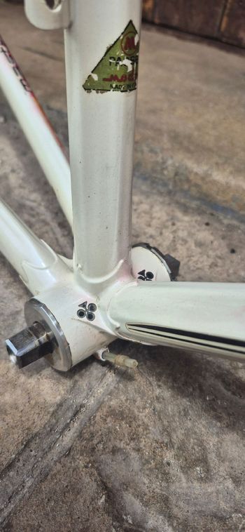 Gebrauchtes Colnago Master Frameset 1984 Road & Gravel, Weiß — Bild 11 von 21