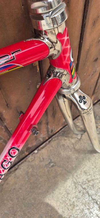 Gebrauchtes Colnago Master Frameset 1984 Road & Gravel, Weiß — Bild 6 von 21