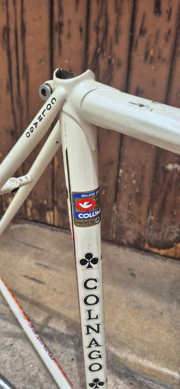Gebrauchtes Colnago Master Frameset 1984 Road & Gravel, Weiß — Bild 10 von 21