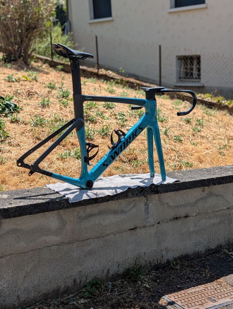 Specialized S-Works Venge – Sagan Collection 2019 Frameset 2019 Road & Gravel usato