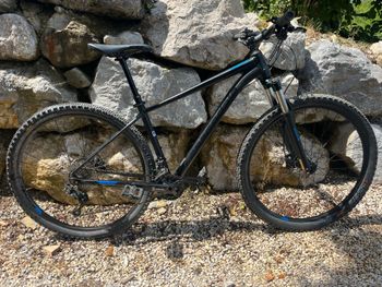 Used Cannondale Trail 5 2019 2019 MTB