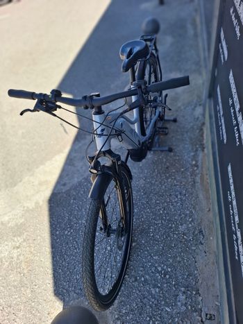 Liv Amiti Shimano Altus 2024 Urban de segunda mano, Gris claro — imagen 2 de 7