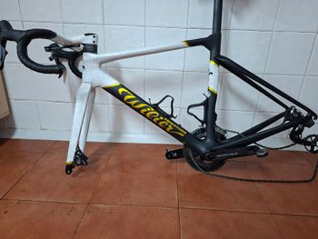 Willier Custom Frameset 2025 Road & Gravel d'occasion — image 2 sur 9