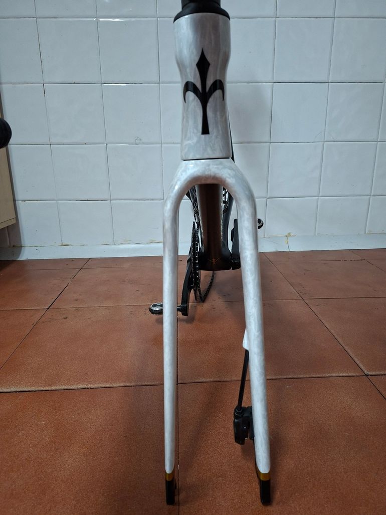 Willier Custom Frameset 2025 Road & Gravel d'occasion — image 5 sur 9