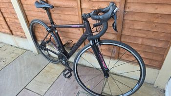 Used Canyon Endurace WMN AL 7.0 2019 2019 Road & Gravel