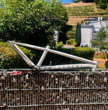 Gebrauchtes Commencal ABSOLUT 2020 Frameset 2020 MTB