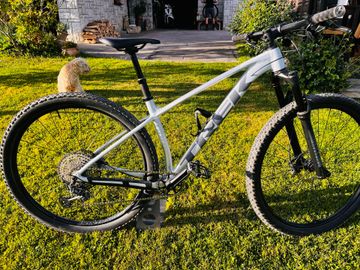 Used Trek Procaliber 8 2025 2025 Mountainbike, Light Gray, 29 — image 2 of 4
