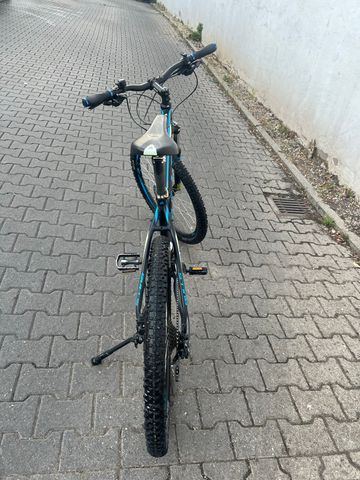 Gebrauchtes BULLS Bushtail 27.5 2020 2020 Mountainbike, Blau, 27.5 — Bild 2 von 11