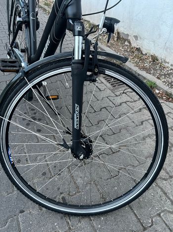 Diamant Custom Shimano Altus 2010 Urban usato, Nero — immagine 3 di 10