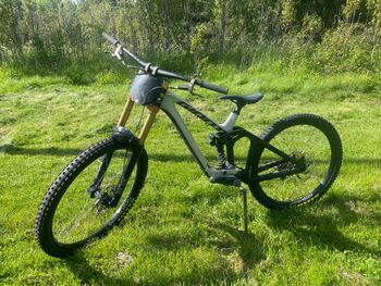 Gebrauchtes Giant Glory Advanced 2024 2024 MTB