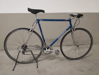 Used Pinarello Treviso 1994 Road & Gravel