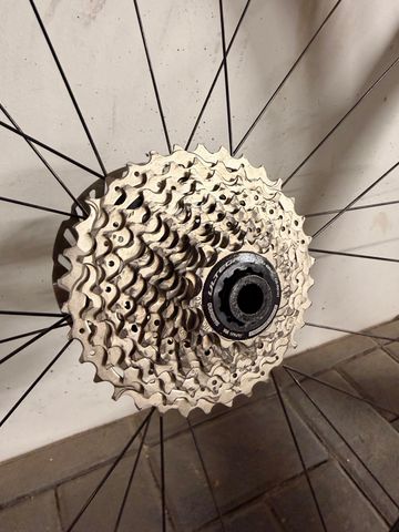 Used Specialized SL7 Pro 2023 2023 Road & Gravel, Green — image 11 of 15