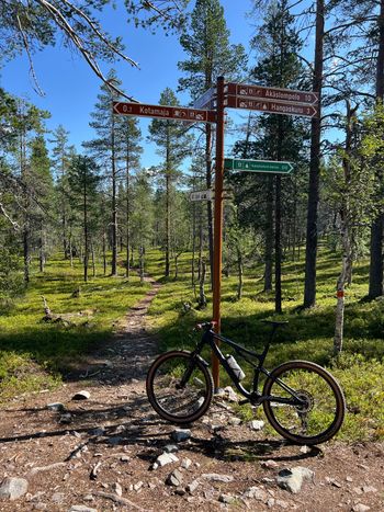 Použité Specialized Epic EVO Comp 2023 Frameset 2023 Mountainbike — obrázek 3 z 4