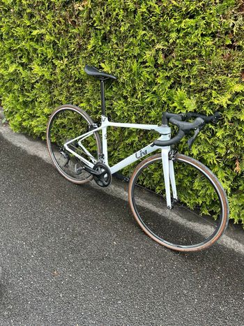 Brugt Liv Langma Advanced 2 2019 2019 Road & Gravel — billede 3 af 3