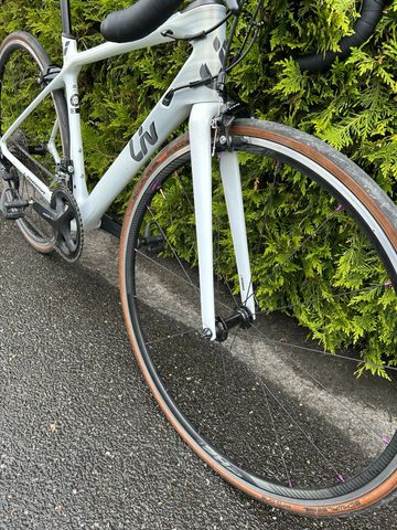 Liv Langma Advanced 2 2019 2019 Road & Gravel d'occasion — image 2 sur 3