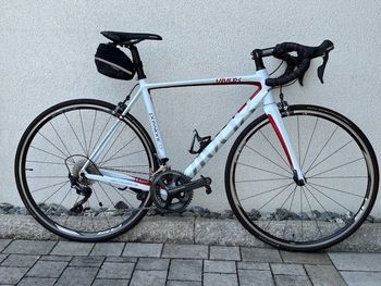 Brugt Vivax Passione CF 2016 Road & Gravel — billede 11 af 11