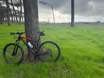 CUBE REACTION C:62 Pro 2018 2018 Mountainbike d'occasion — image 2 sur 7