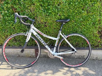 Used Scatto Custom Shimano Tiagra 2019 Road & Gravel, White — image 6 of 10