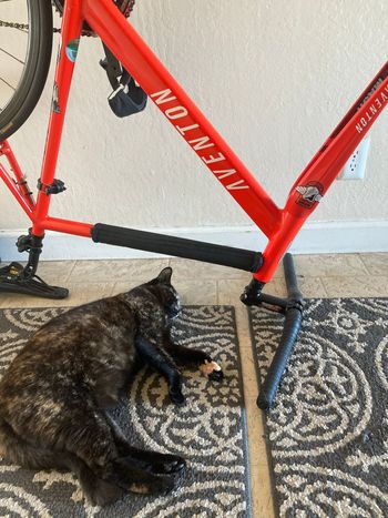 Aventon Custom Single Speed / Fixed Gear 2019 Road & Gravel d'occasion — image 5 sur 7