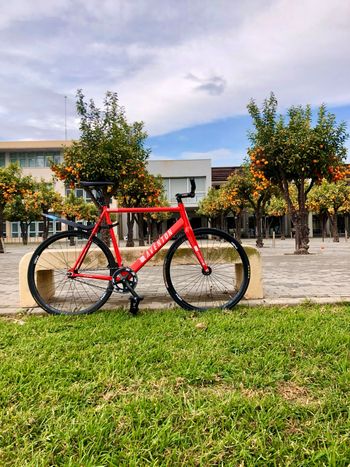 Aventon Custom Single Speed / Fixed Gear 2019 Road & Gravel d'occasion