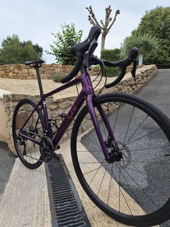 Brugt Liv Langma Advanced Disc 2 2023 2023 Road & Gravel — billede 2 af 4